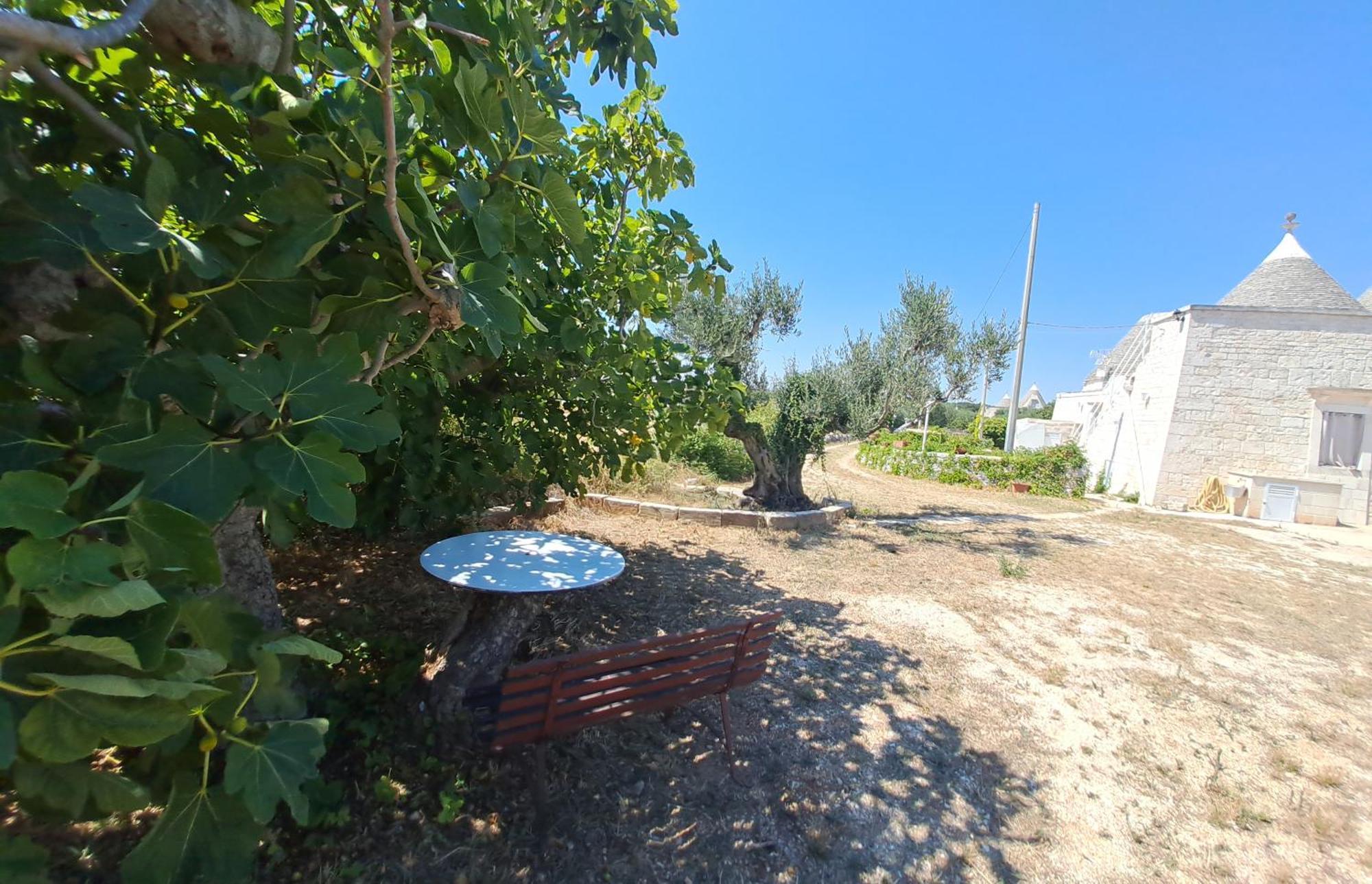 Villa Trulli Carlo Anna à Locorotondo Extérieur photo