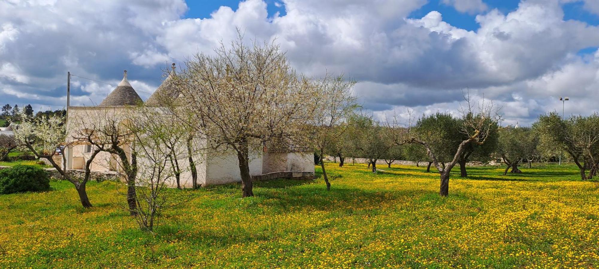 Villa Trulli Carlo Anna à Locorotondo Extérieur photo